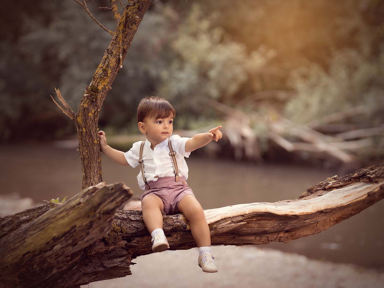 Niño en el árbol Diego subido en en un árbol en su sesión de verano en Logroño.