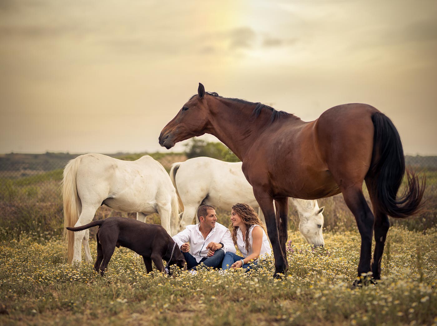 preboda-lr-40